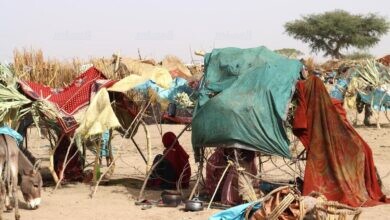 الأمم المتحدة تعلن عن قلقها من سوء أوضاع اللاجئين السودانيين في تشاد