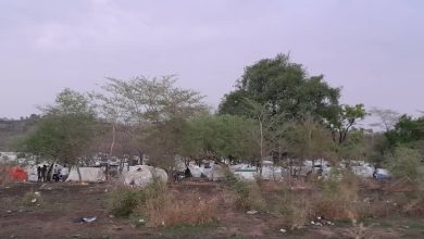 اللاجئون السودانيون في إثيوبيا